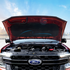 Kaput Amortisörü, Hood Strut